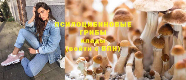 ешки Михайловск