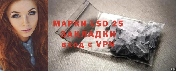 сатива Нефтекумск